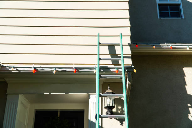 Best Siding Painting and Refinishing  in Chalmette, LA