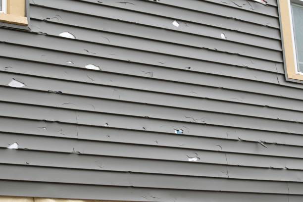 Best James Hardie Siding  in Chalmette, LA