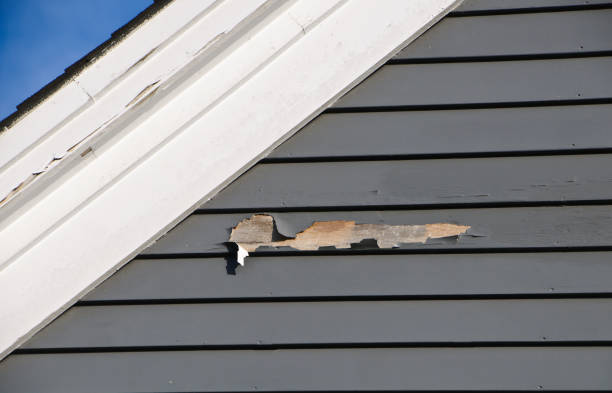 Best Historical Building Siding Restoration  in Chalmette, LA