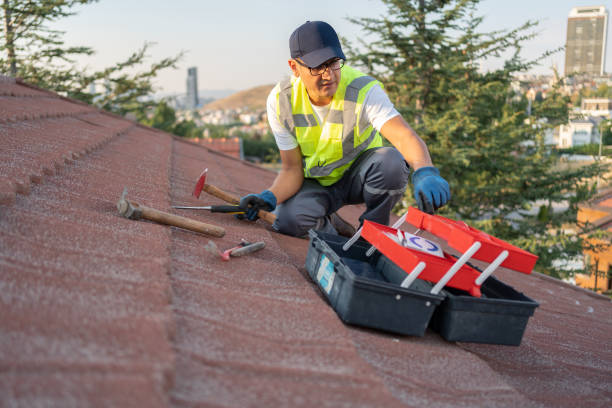 Best Storm Damage Siding Repair  in Chalmette, LA